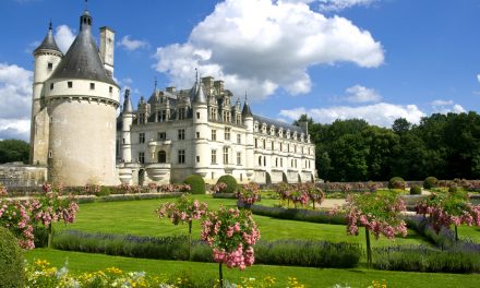 Four income-generating chateaux for sale in France