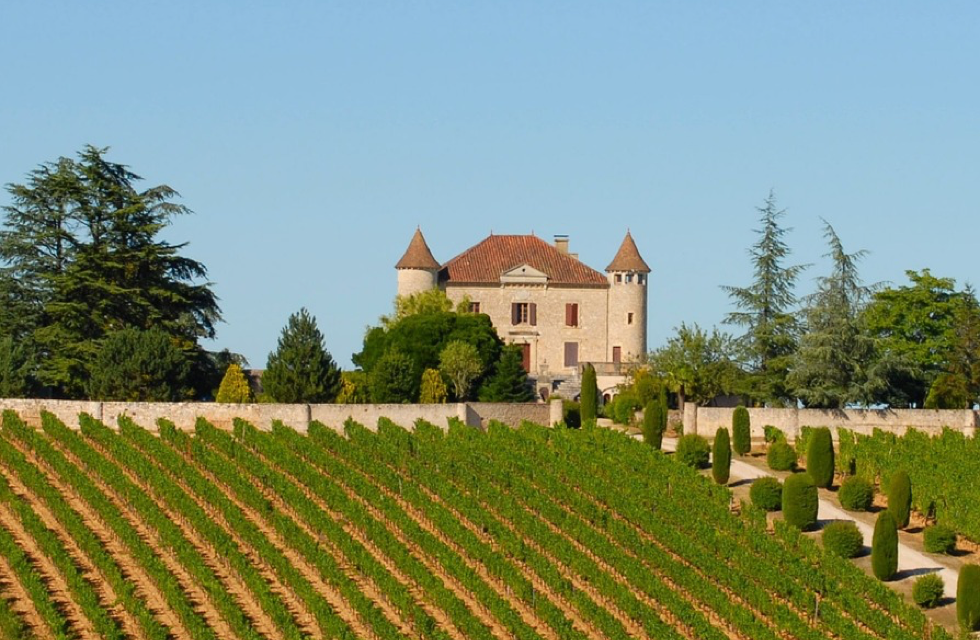 Some Of The Best Vineyards For Sale In South West France The Hunter Home Hunts