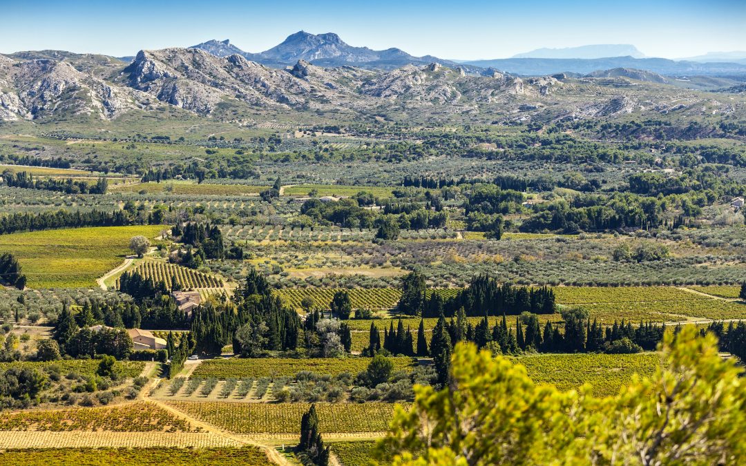 The French buying process when purchasing land.