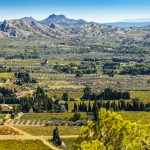 The French buying process when purchasing land.